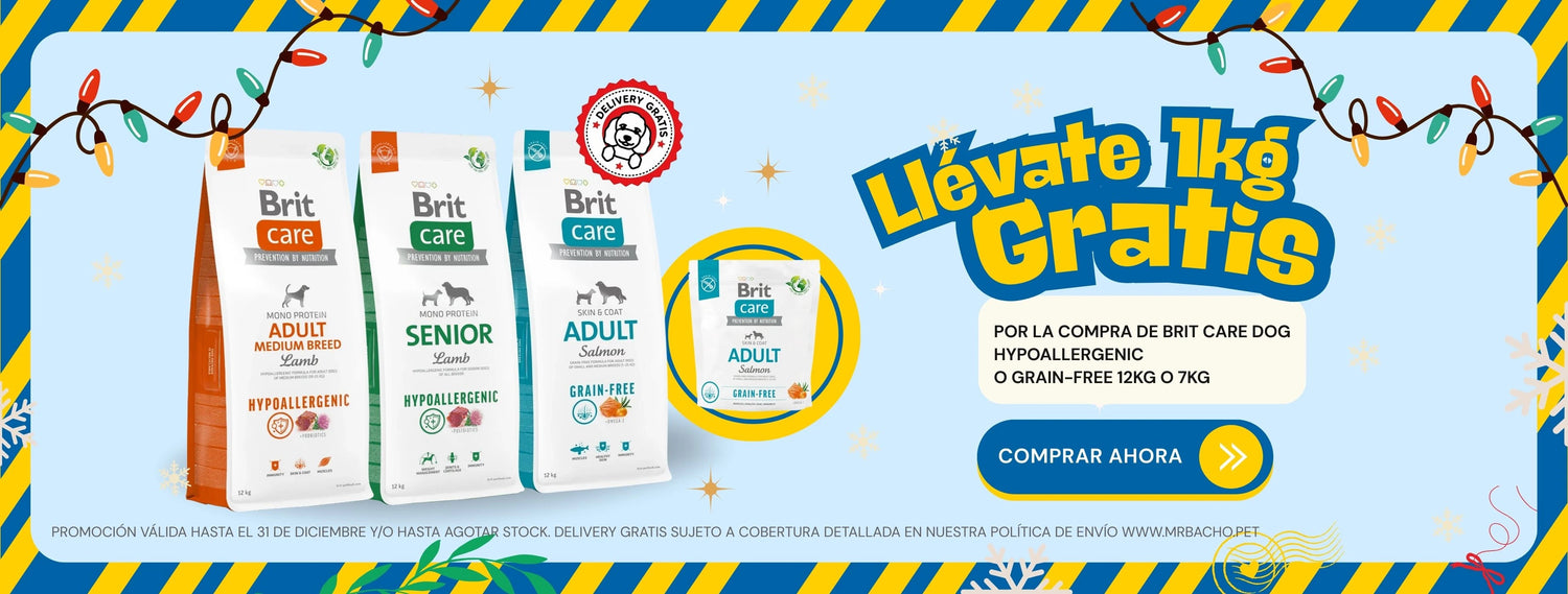 Mr. Bacho - Pet Shop