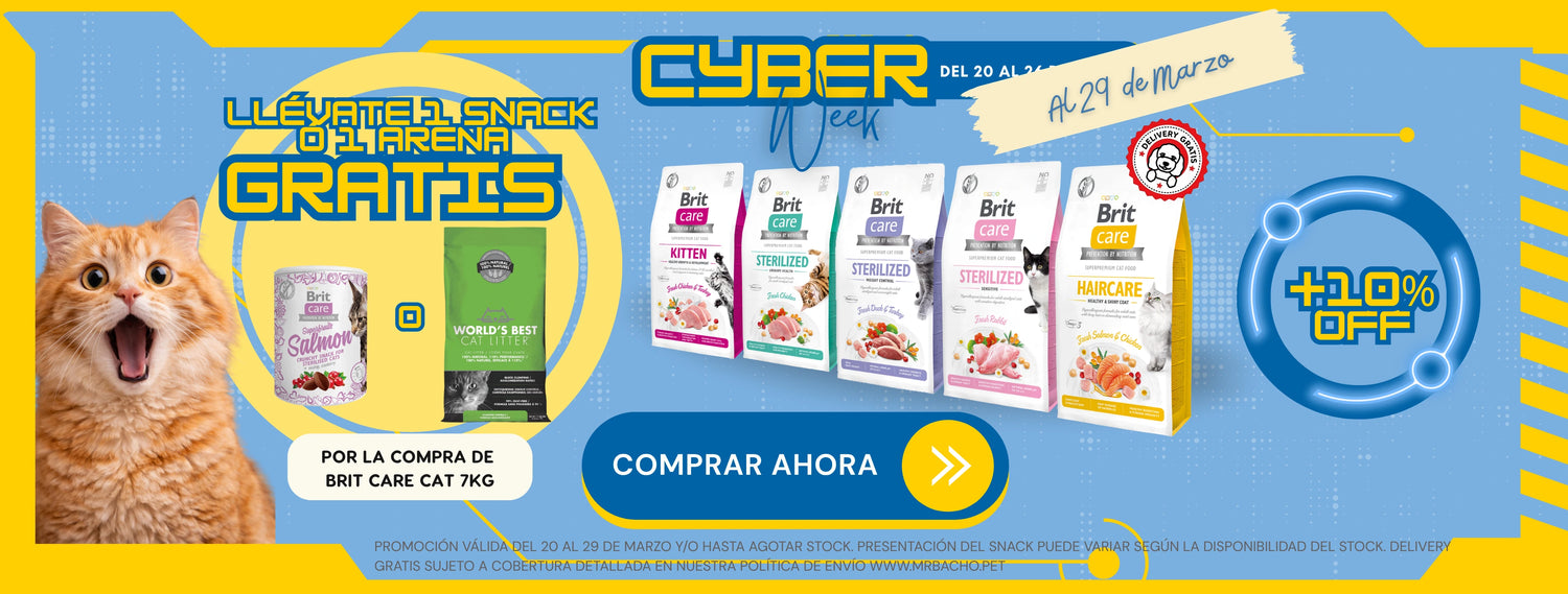 Mr. Bacho - Pet Shop