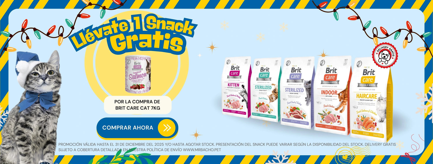 Mr. Bacho - Pet Shop