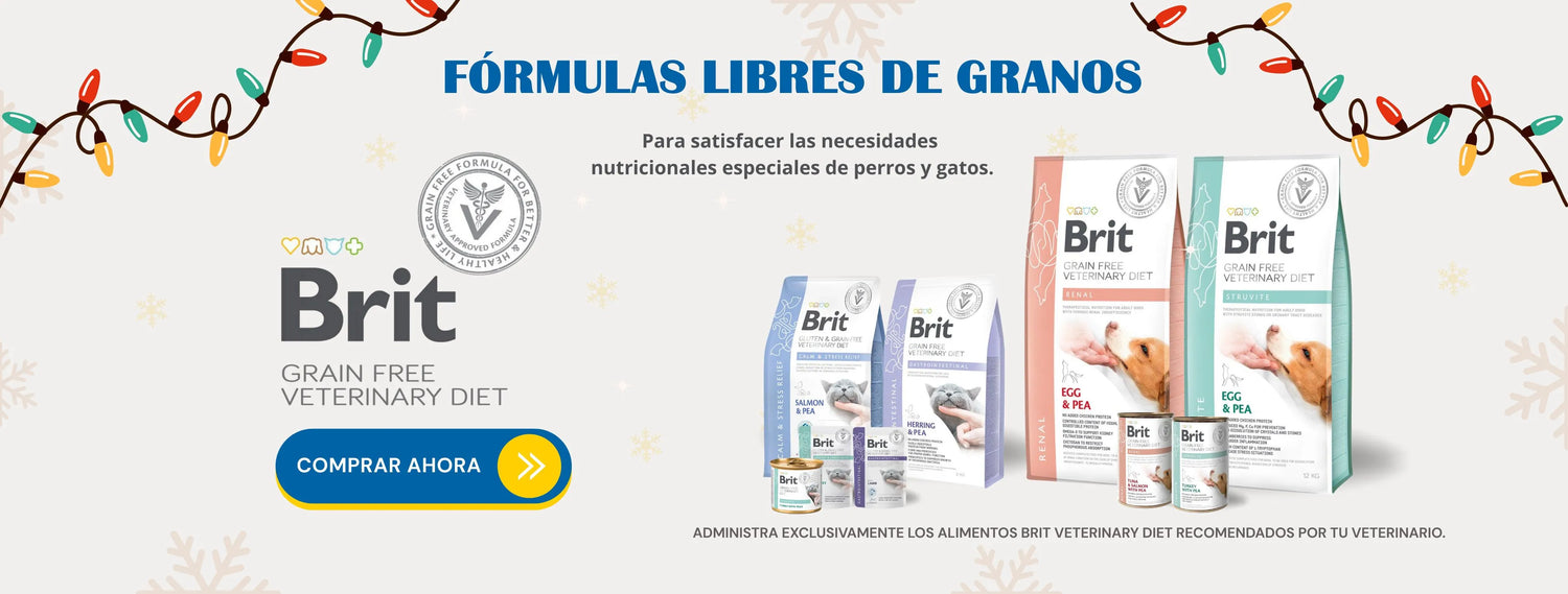 Mr. Bacho - Pet Shop