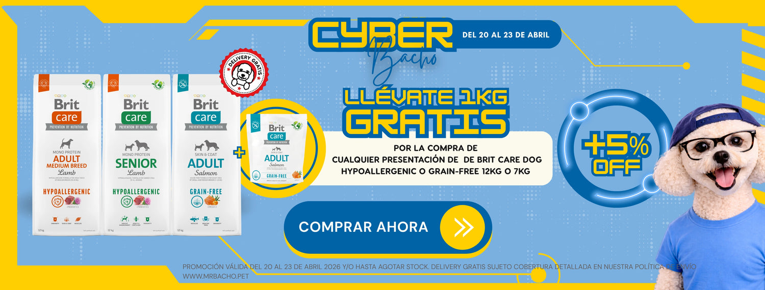 Mr. Bacho - Pet Shop