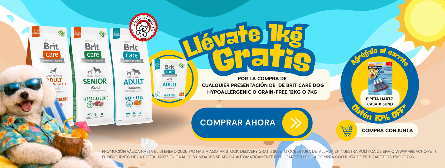 Mr. Bacho - Pet Shop