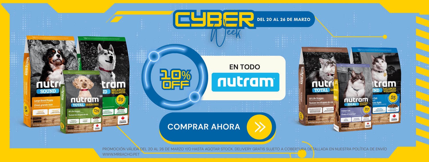 Mr. Bacho - Pet Shop