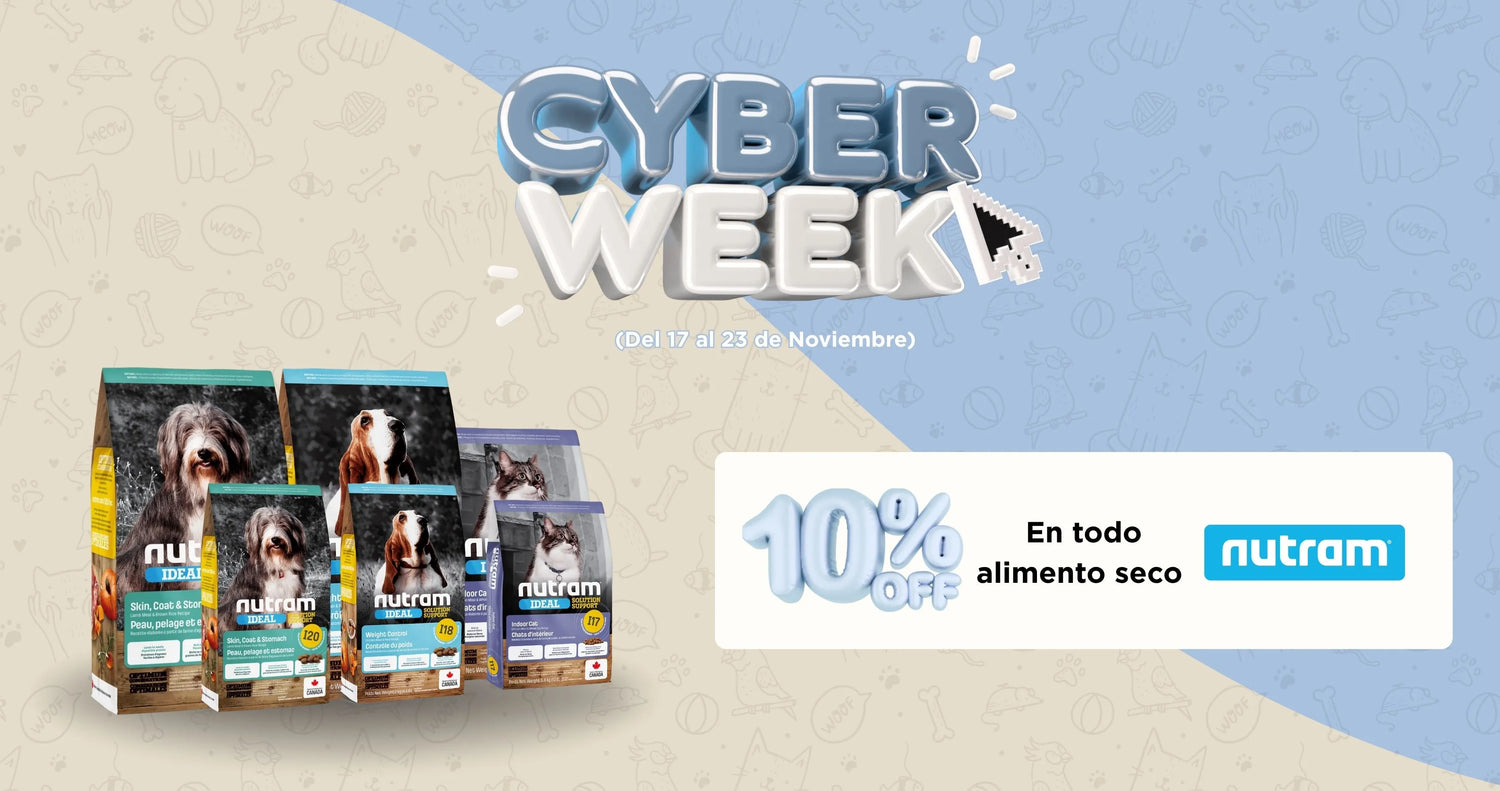 Mr. Bacho - Pet Shop