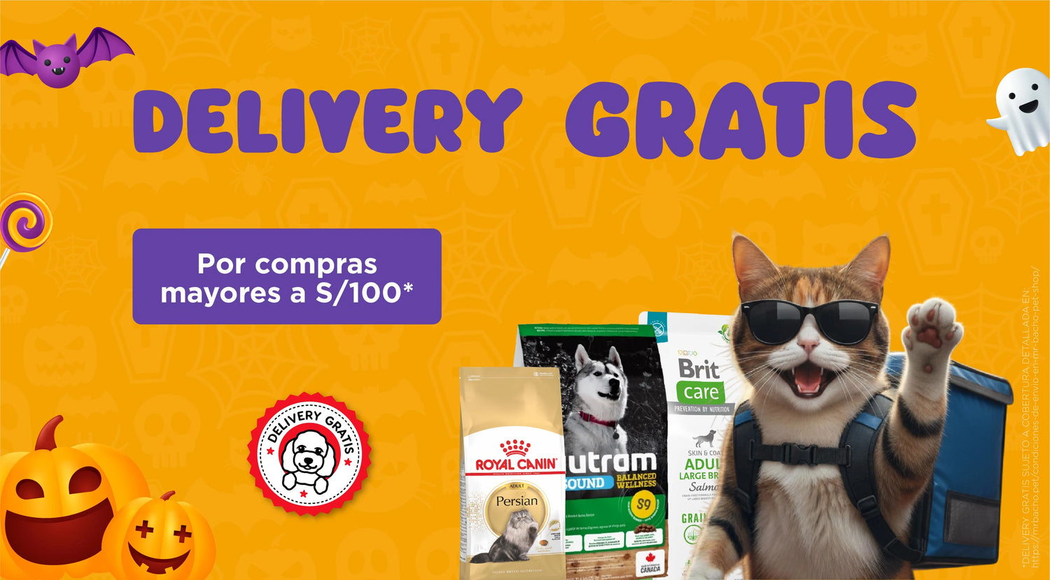 Mr. Bacho - Pet Shop