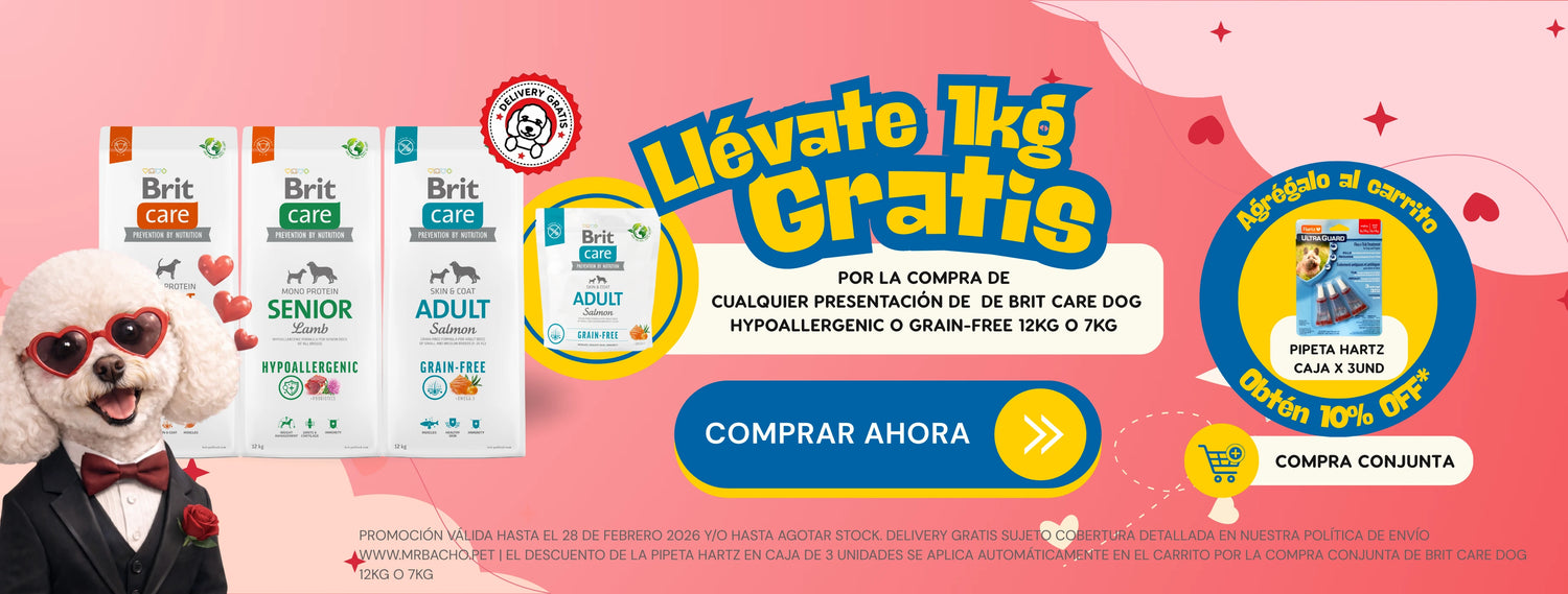 Mr. Bacho - Pet Shop