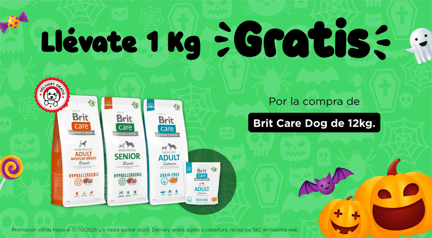 Mr. Bacho - Pet Shop