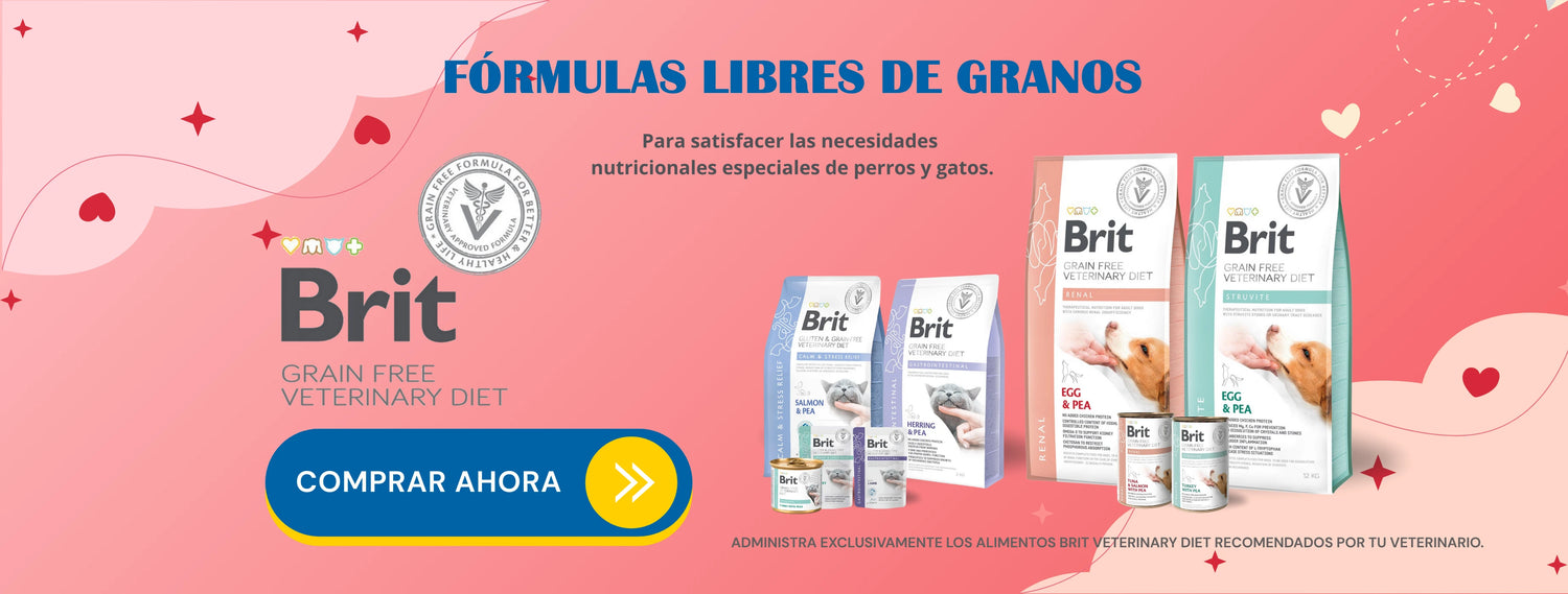 Mr. Bacho - Pet Shop