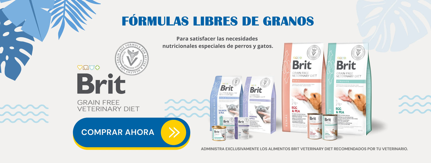 Mr. Bacho - Pet Shop