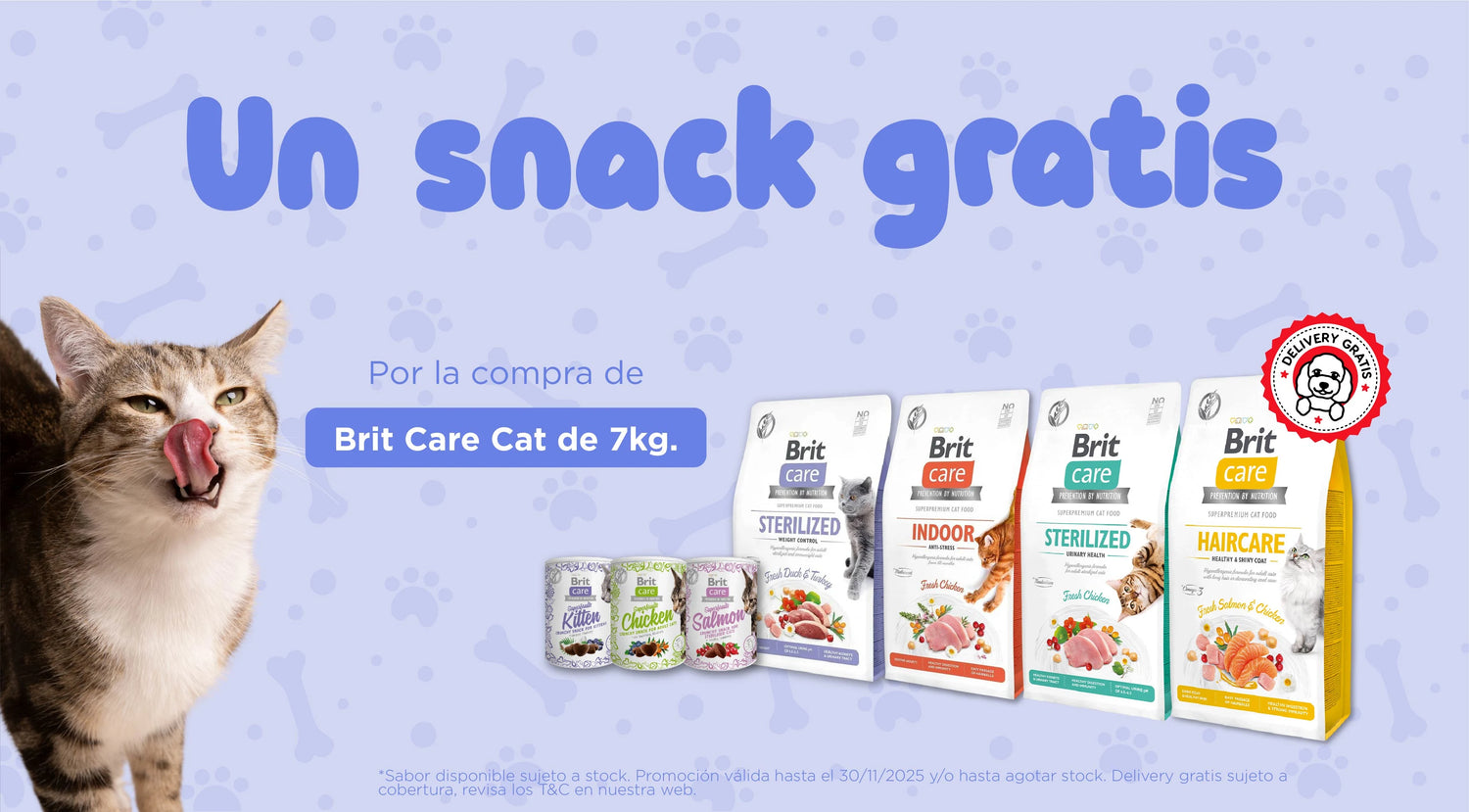 Mr. Bacho - Pet Shop