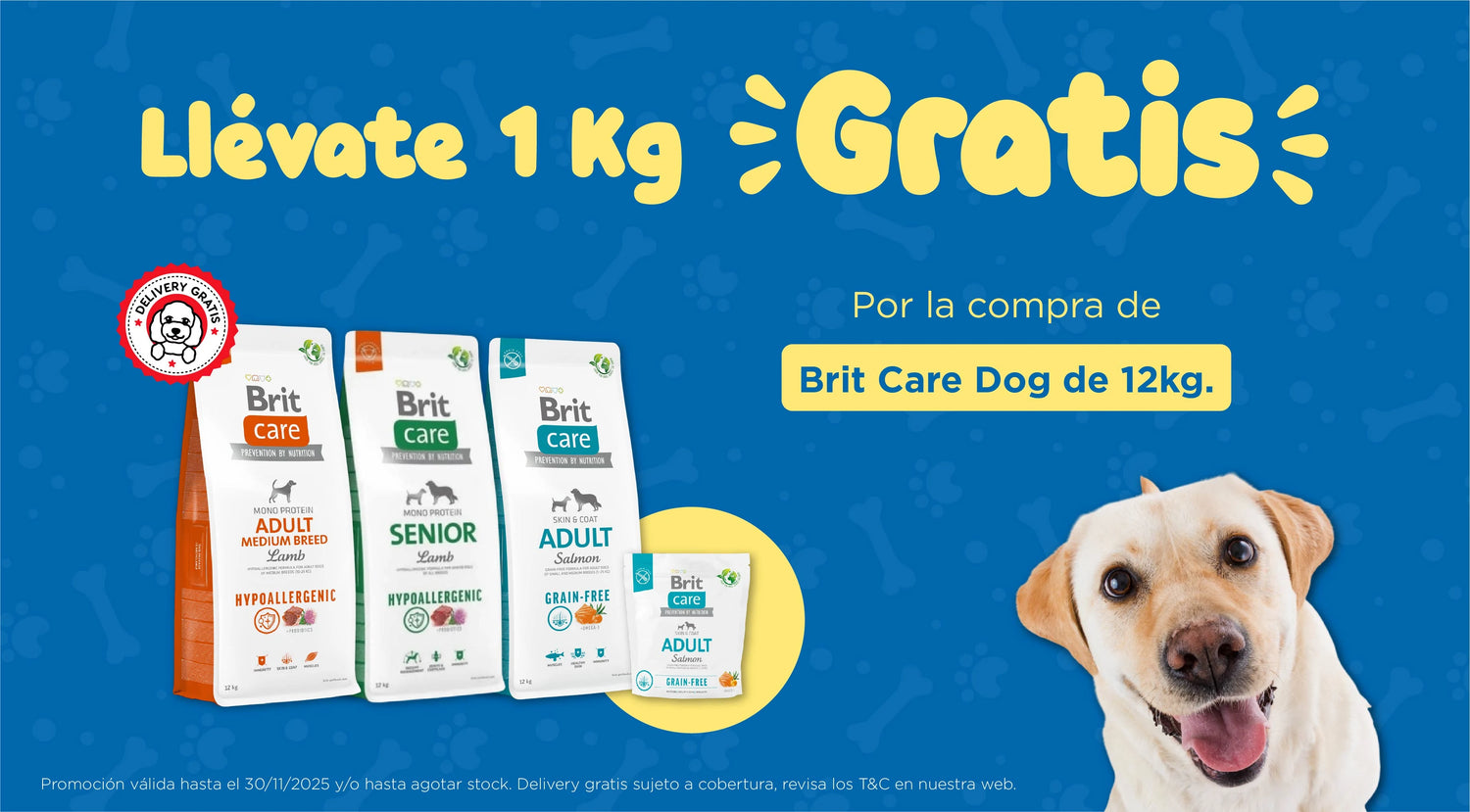 Mr. Bacho - Pet Shop