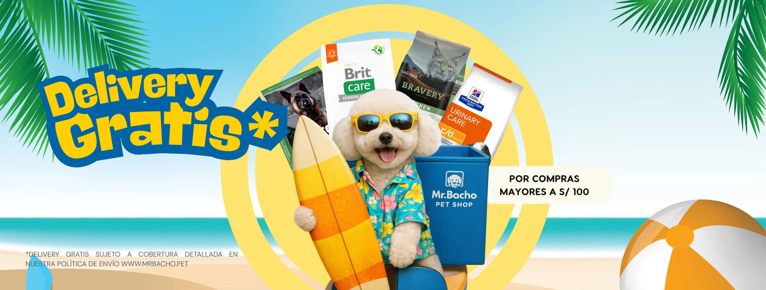 Mr. Bacho - Pet Shop