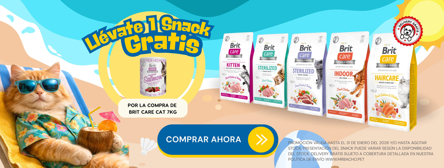 Mr. Bacho - Pet Shop