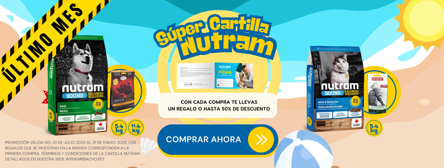 Mr. Bacho - Pet Shop