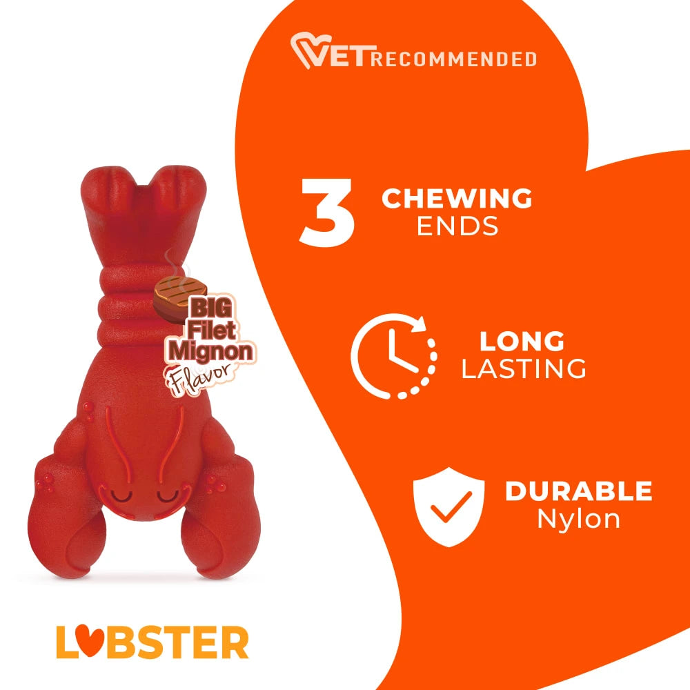 Nylabone Power Chew - Juguete para perros con forma de langosta sabor filet mignon