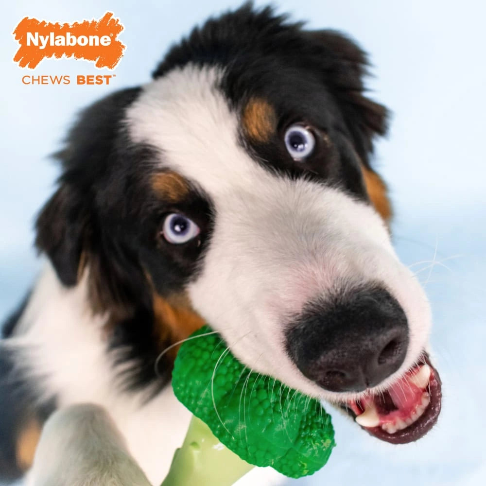 Nylabone Power Chew - Juguete masticable para perros con forma de brócoli sabor tocino y queso