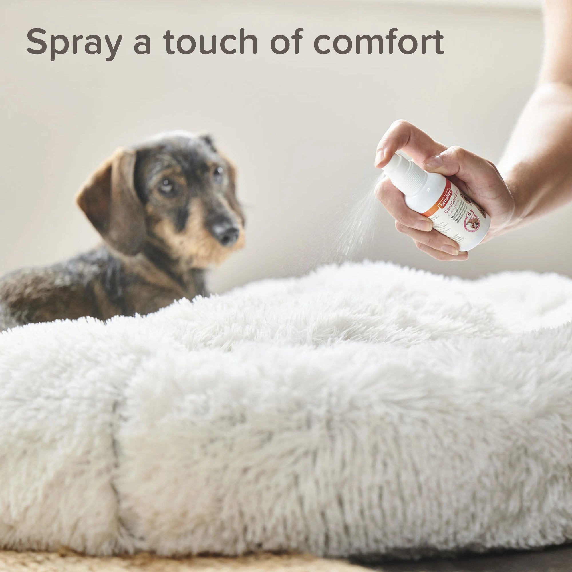 Beaphar CaniComfort Calming Spray con feromonas para perros