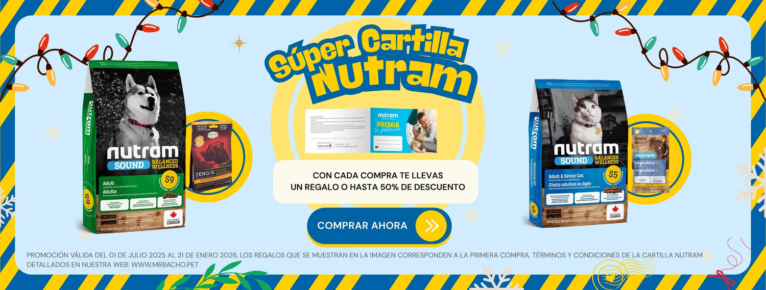 Mr. Bacho - Pet Shop