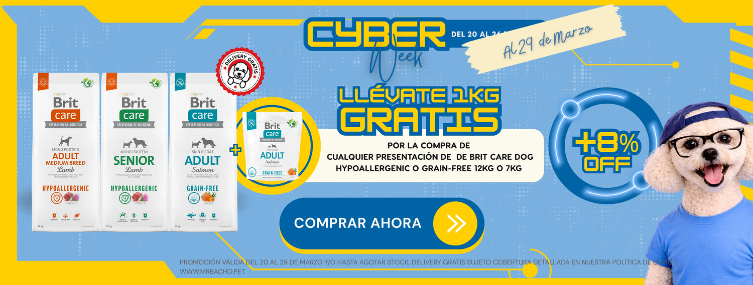 Mr. Bacho - Pet Shop