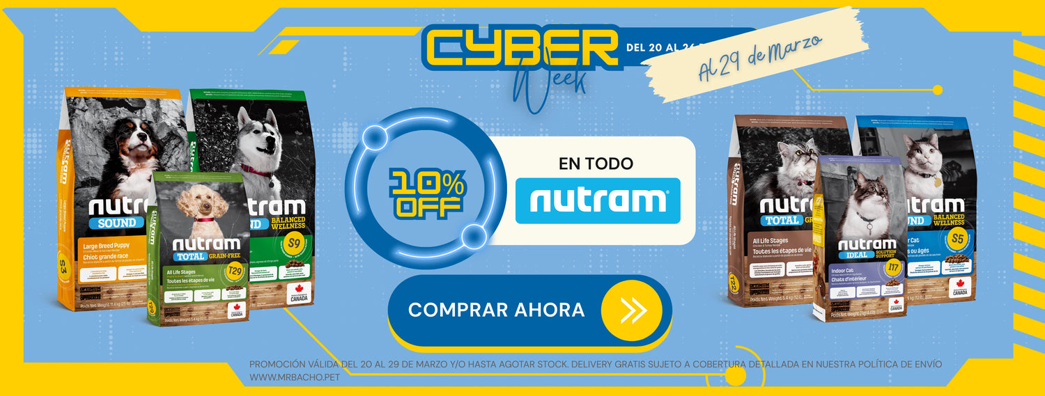 Mr. Bacho - Pet Shop