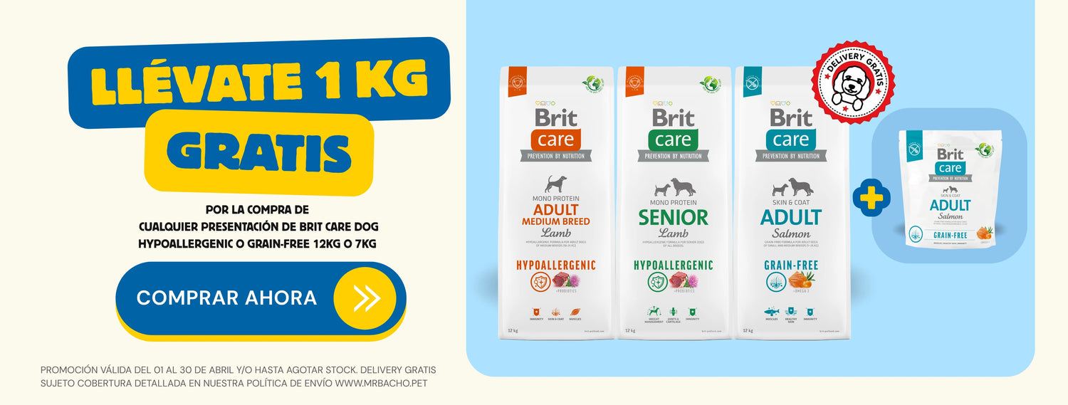 Mr. Bacho - Pet Shop