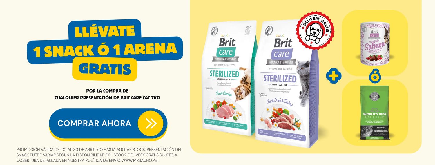 Mr. Bacho - Pet Shop