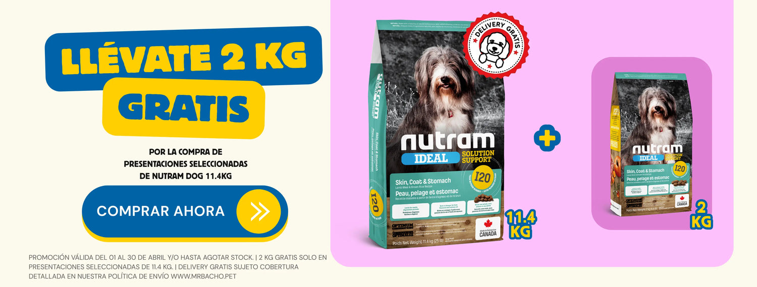 Mr. Bacho - Pet Shop