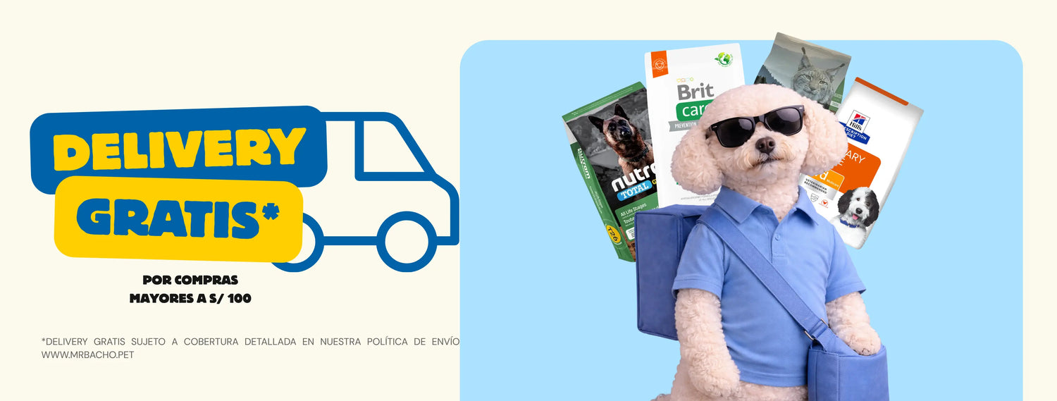 Mr. Bacho - Pet Shop