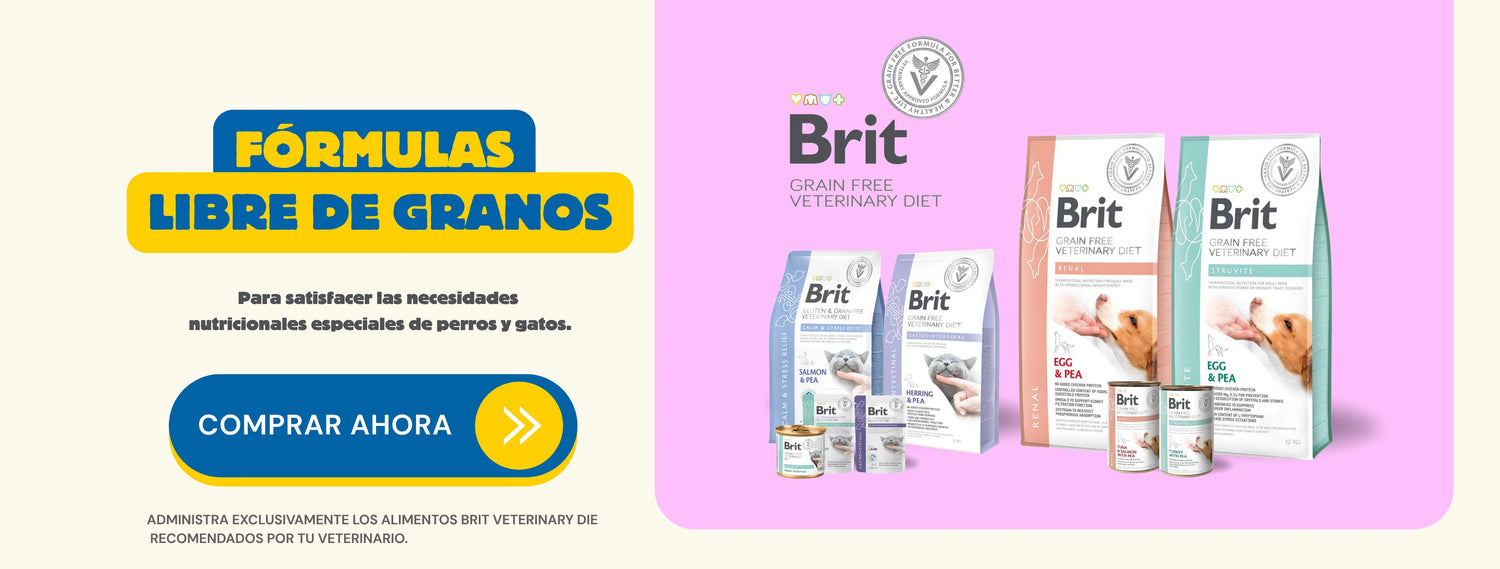 Mr. Bacho - Pet Shop