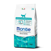 Monge Feline Kitten