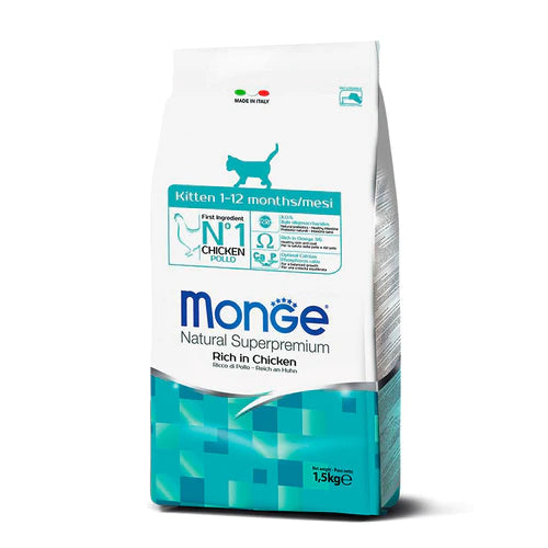 Monge Feline Kitten