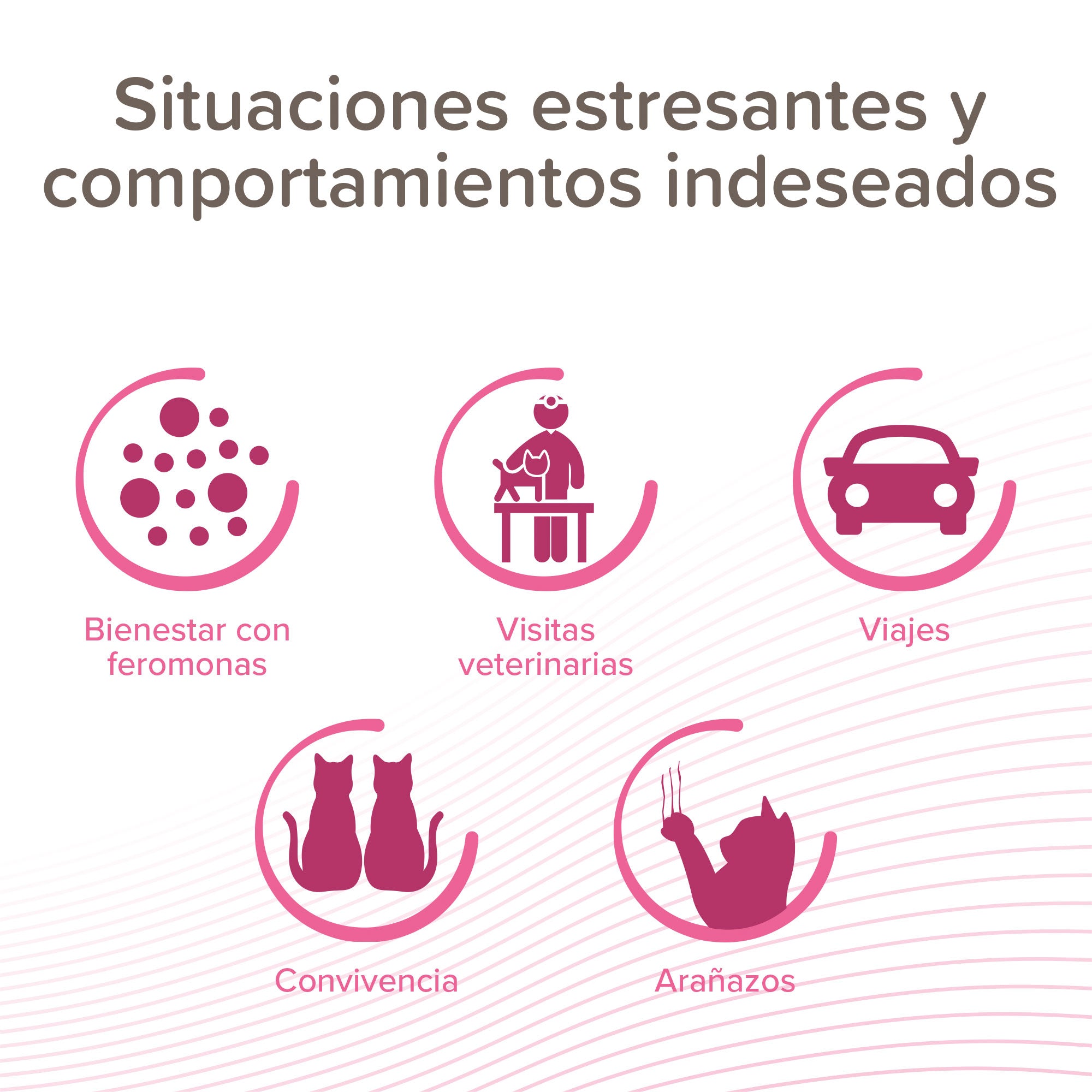 Beaphar CatComfort Calming Spray de Feromonas para gatos