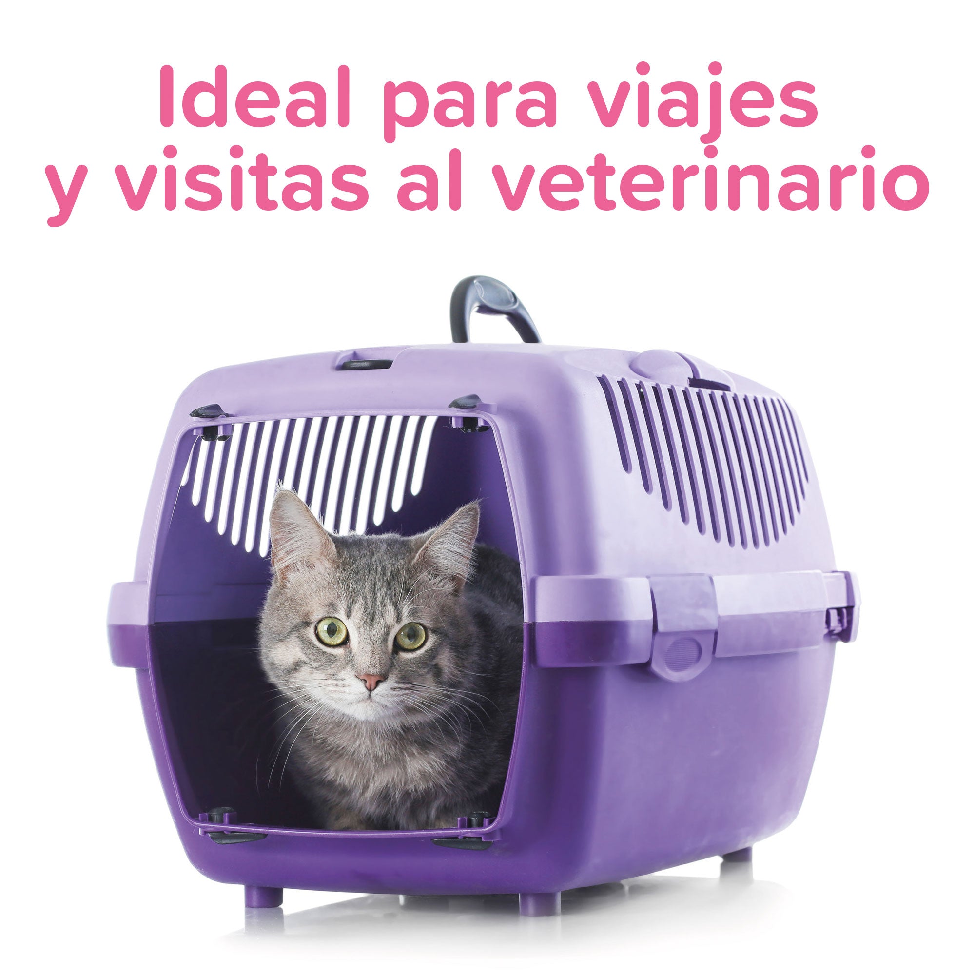 Beaphar CatComfort Calming Spray de Feromonas para gatos