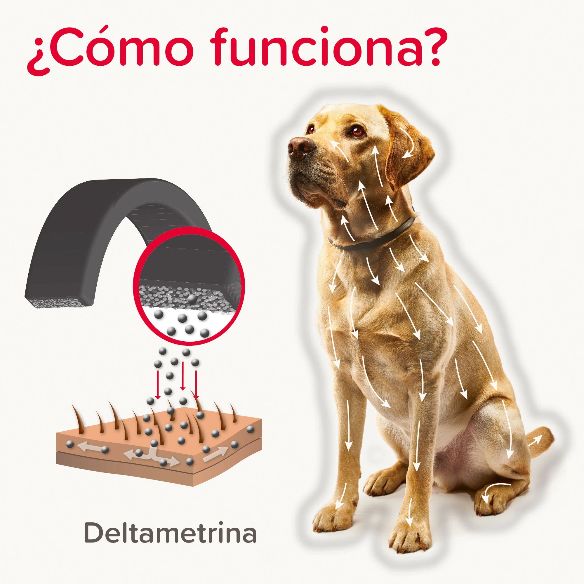 Beaphar Canishield - Collar antiparasitario para perros