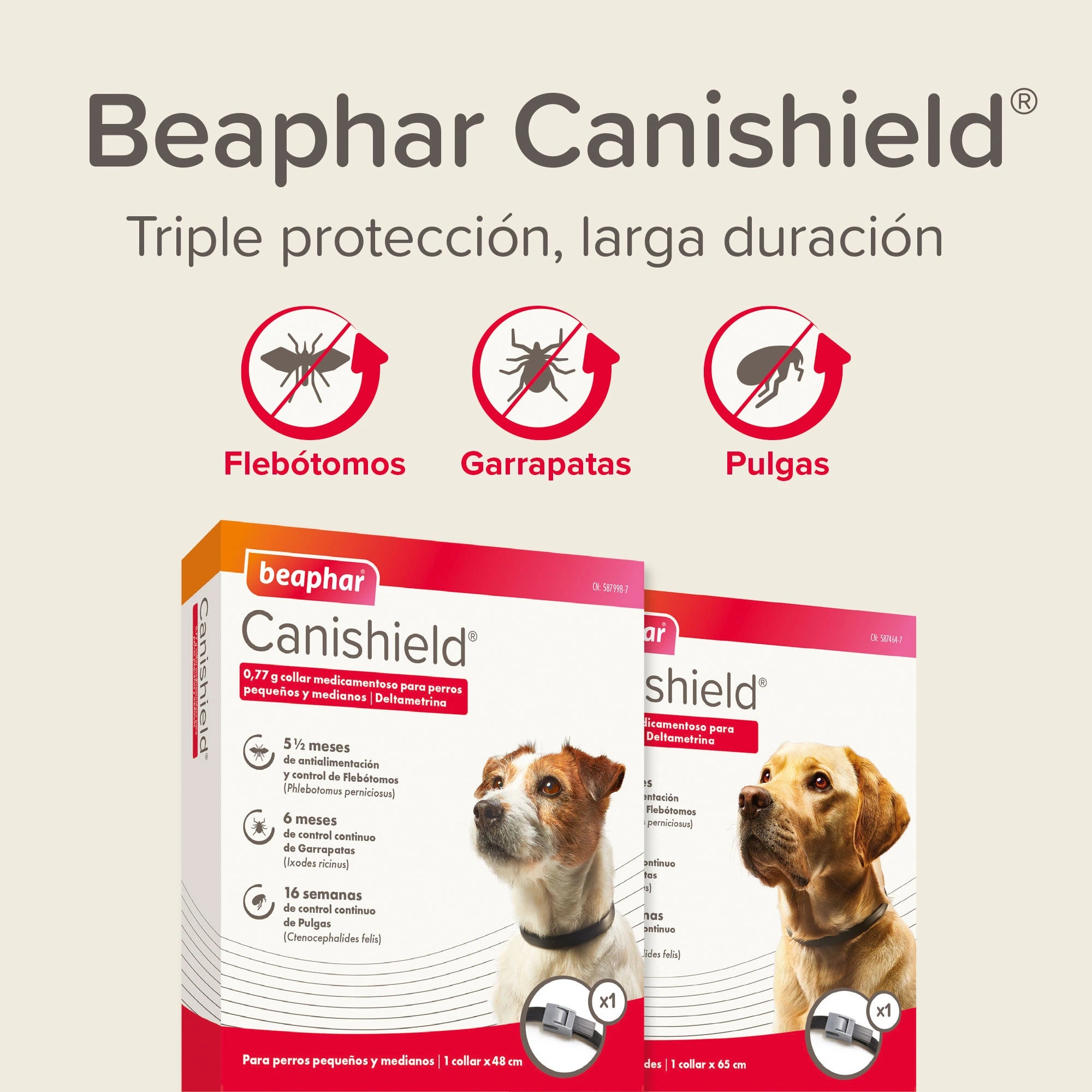 Beaphar Canishield - Collar antiparasitario para perros