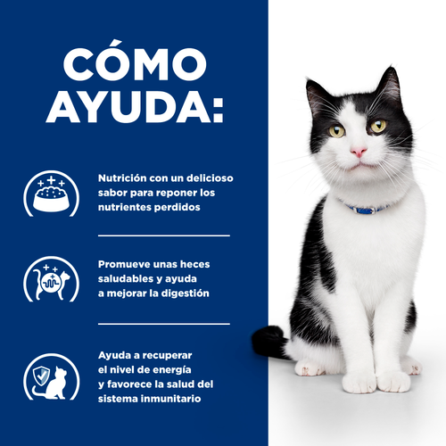 Hills PD Feline I/D Digestive Care