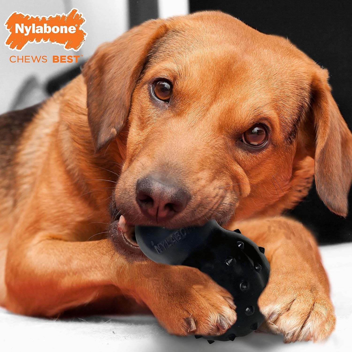 Nylabone Rubber Strong Max Chew - Juguete rellenable sabor a carne para perros