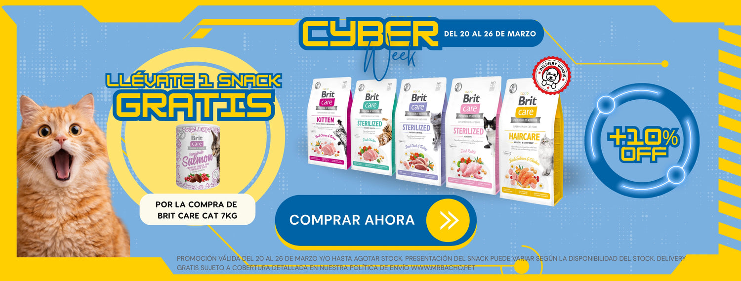 Mr. Bacho - Pet Shop