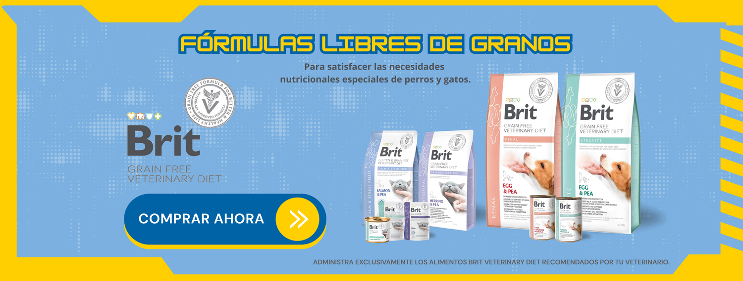 Mr. Bacho - Pet Shop