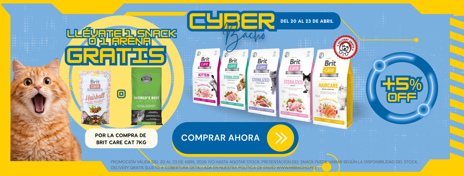 Mr. Bacho - Pet Shop