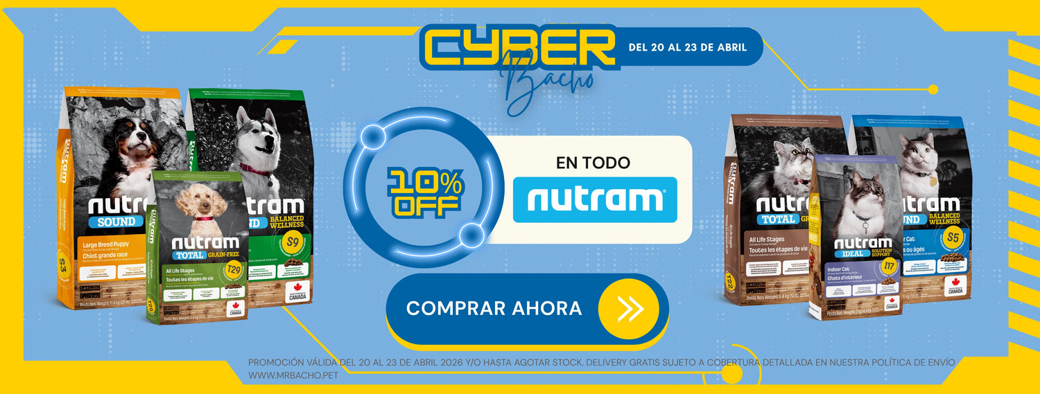 Mr. Bacho - Pet Shop