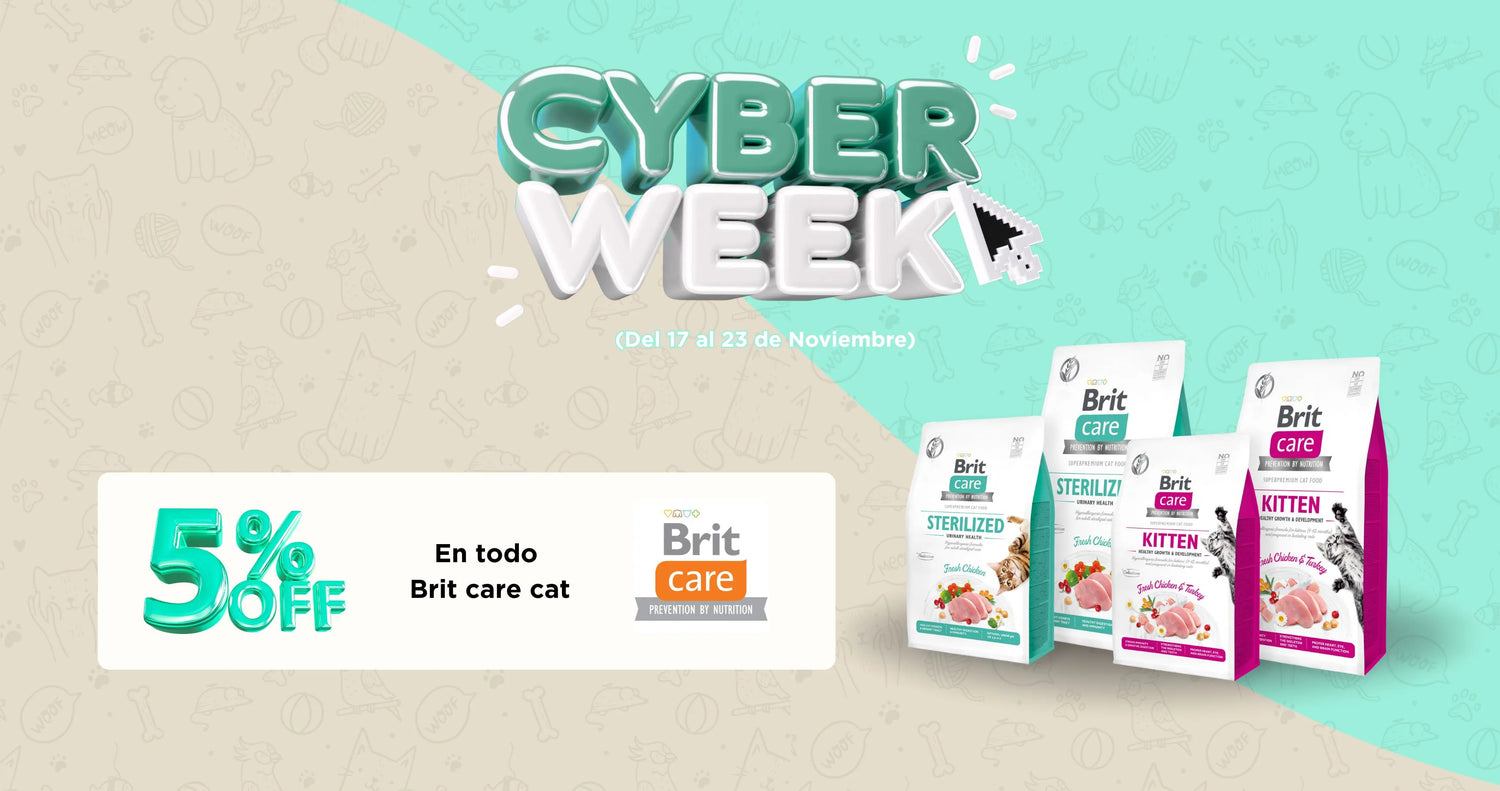 Mr. Bacho - Pet Shop