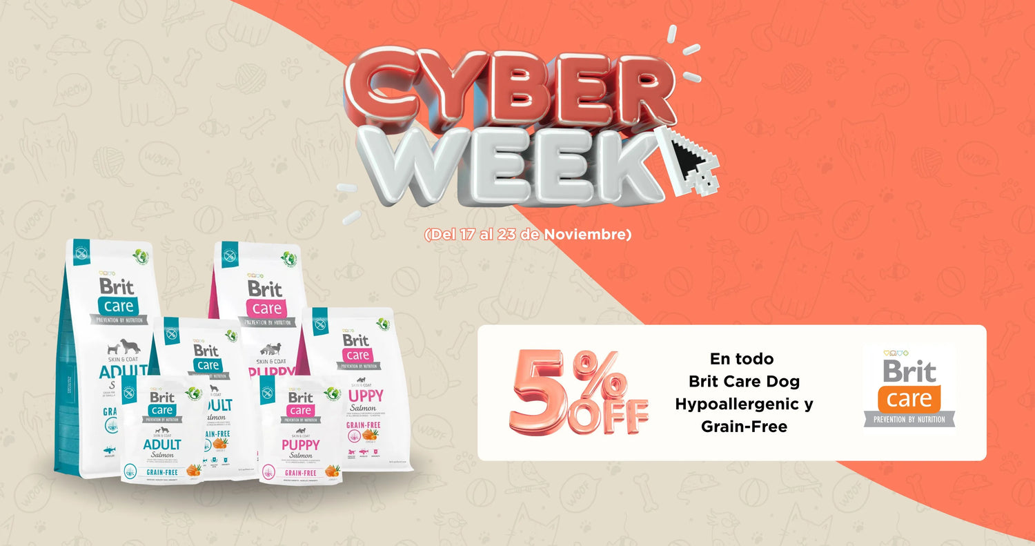 Mr. Bacho - Pet Shop