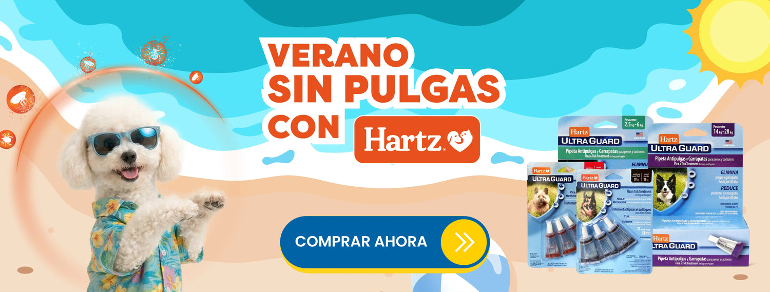 Mr. Bacho - Pet Shop