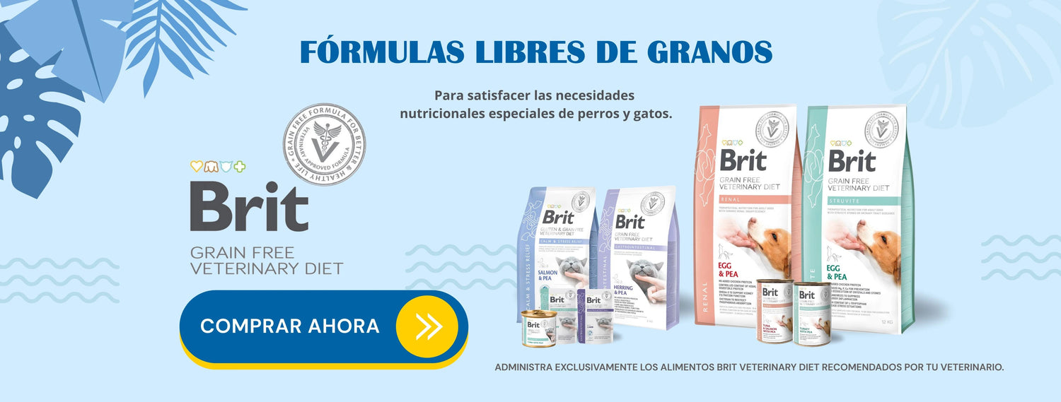 Mr. Bacho - Pet Shop