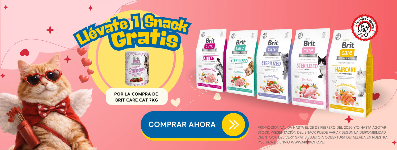 Mr. Bacho - Pet Shop