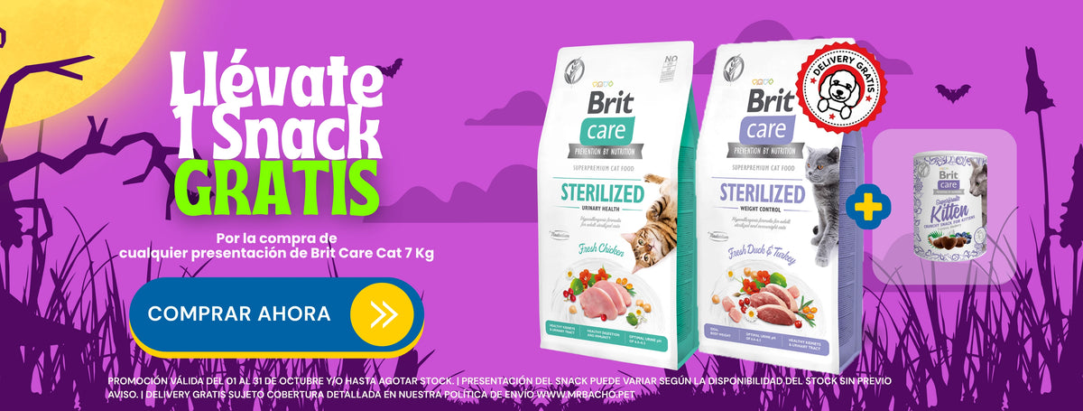 Mr. Bacho - Pet Shop