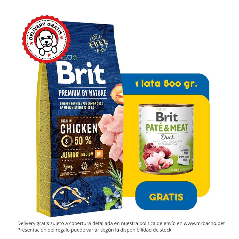 Brit Premium by Nature Junior Medium