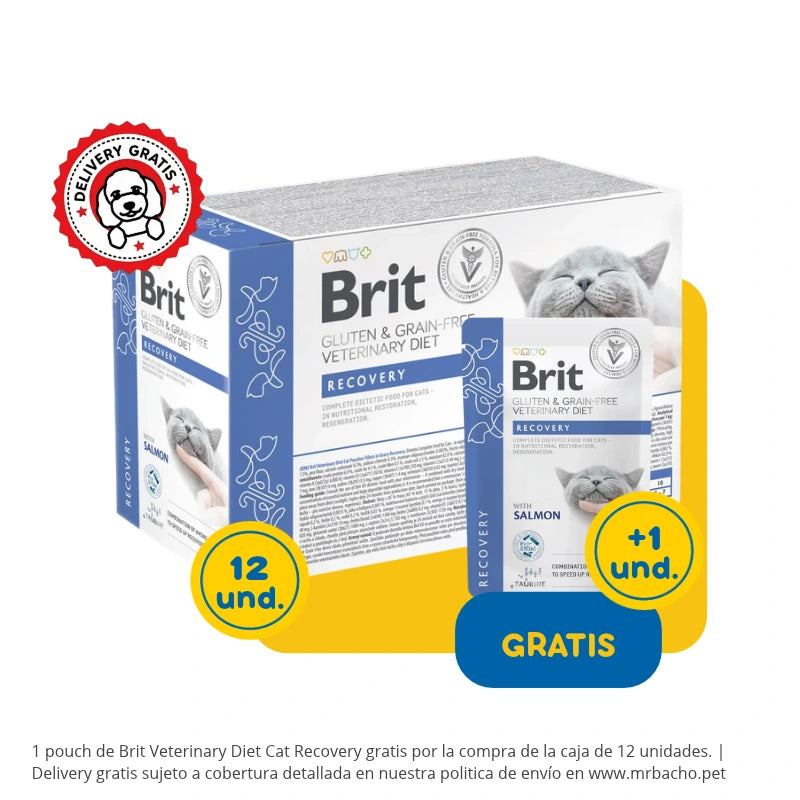 Brit Veterinary Diet Cat Grain-Free Recovery Pouch Fillets in Gravy