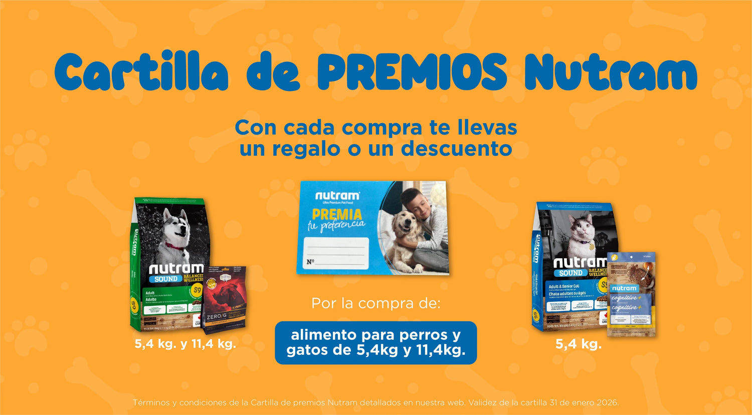 Mr. Bacho - Pet Shop